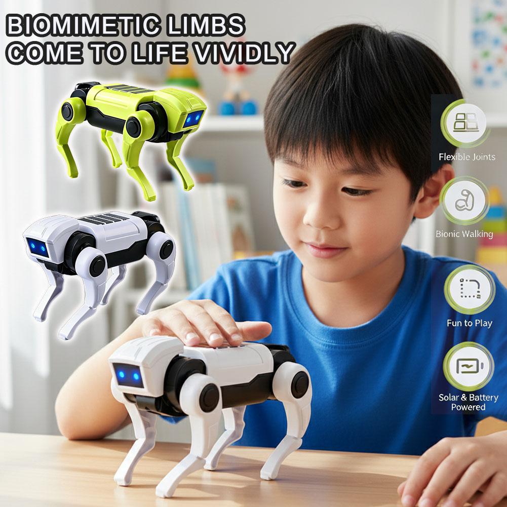 Science Project Diy - Kit Robot Cane Telecomandato Fai-da-Te, Modello