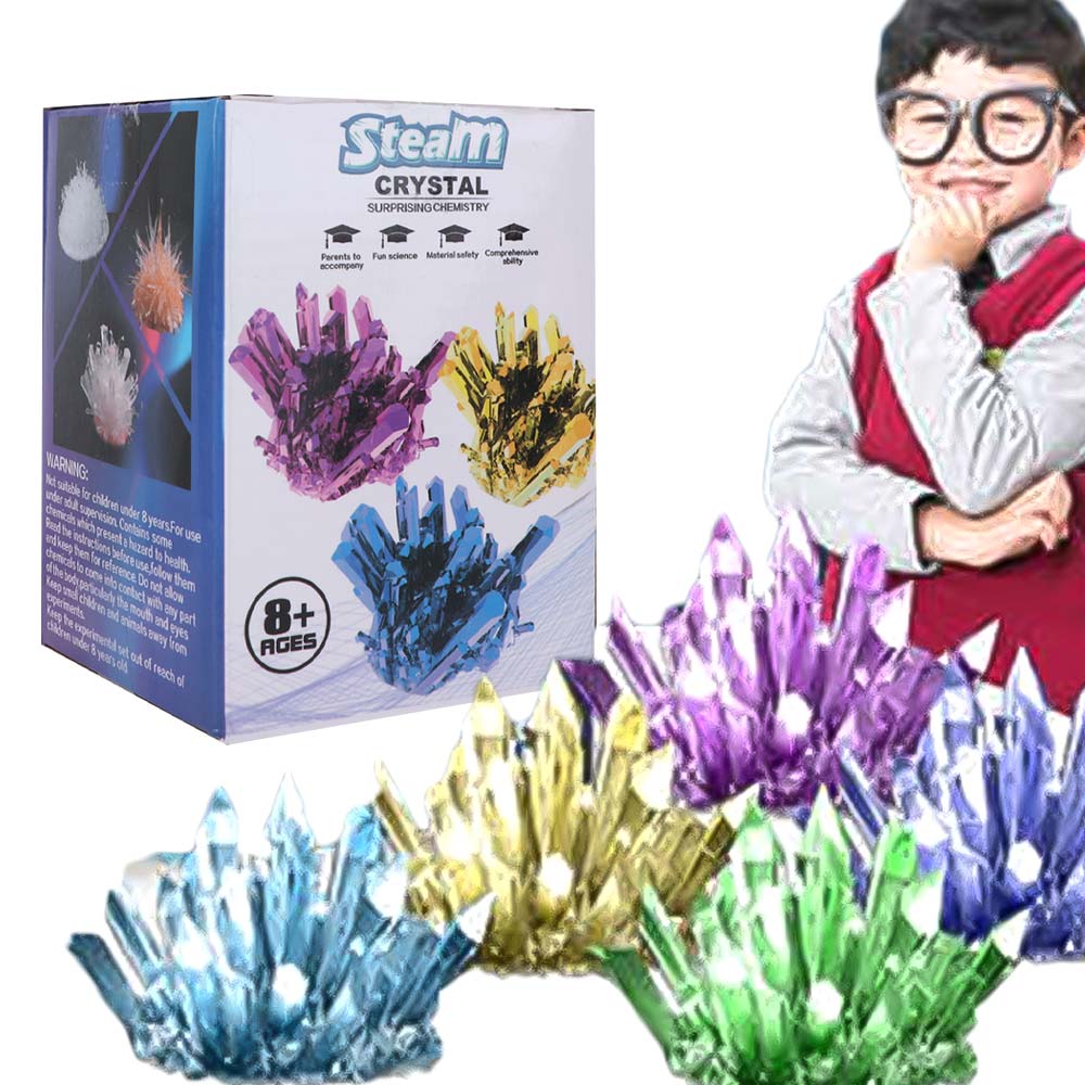 Science Project Diy - Kit Scientifico per la Crescita di