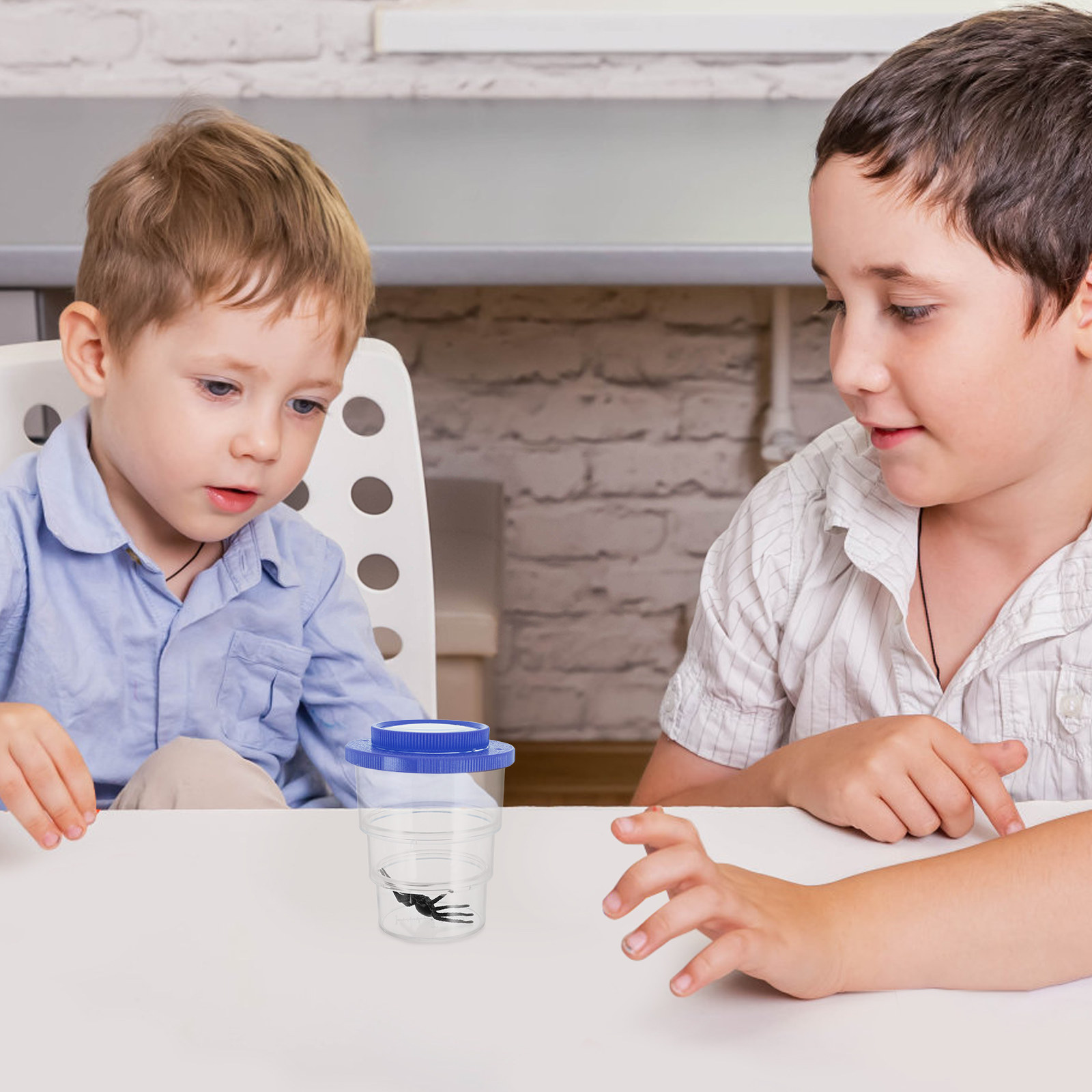 Scatola per l'Osservazione deg - Science Kit recensione e prezzo
